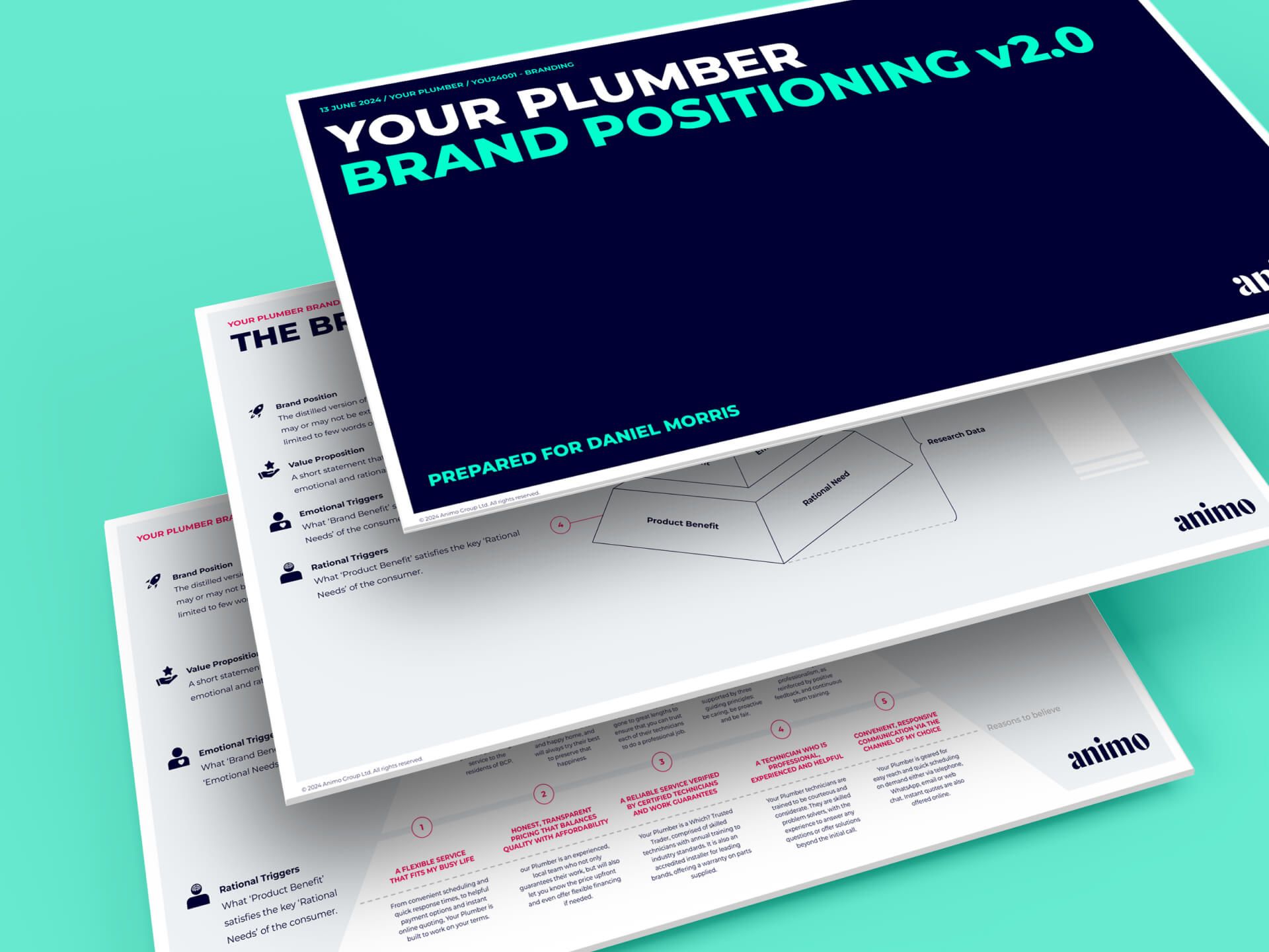 A book titled your plumber brand positioning v2.0