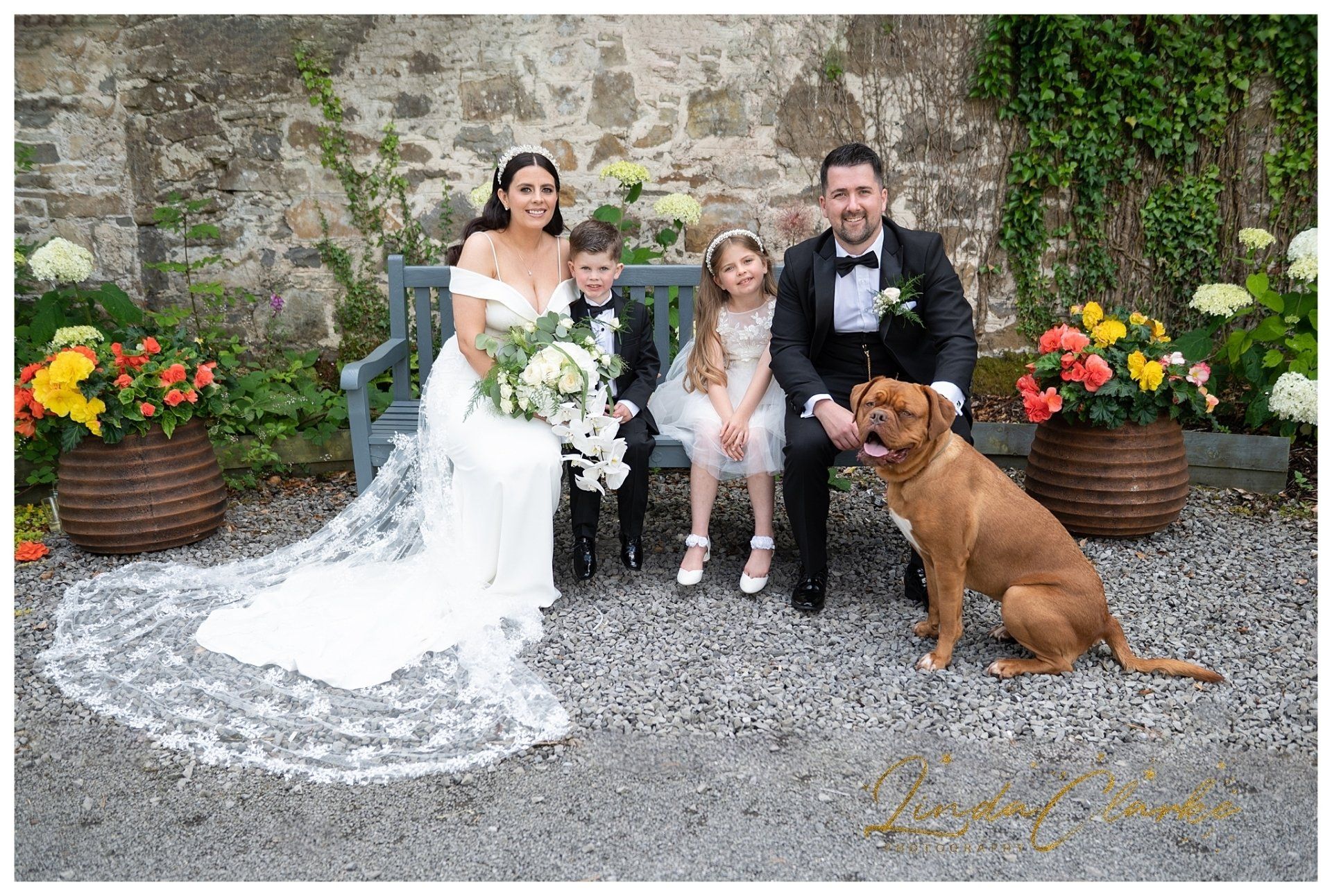 Wedding Photographer Dublin