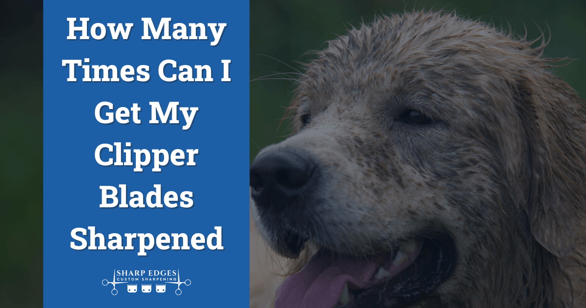 How many times can I get my clipper blades sharpened?