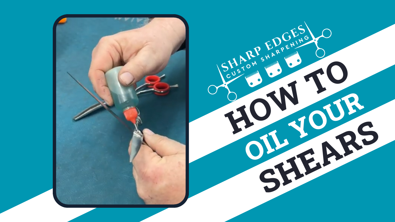 How to Oil Grooming Shears Properly