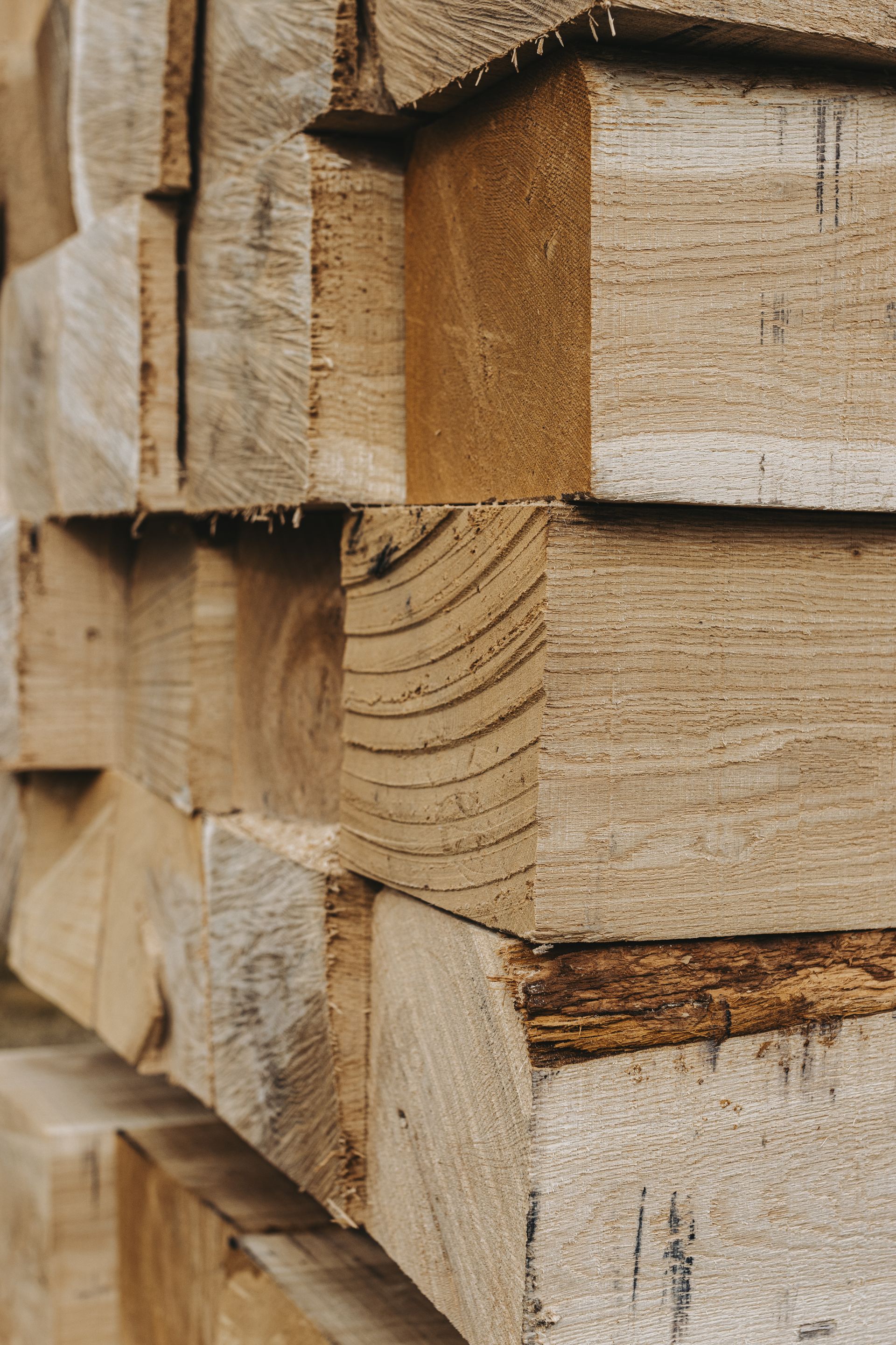 Logging Experts Central PA