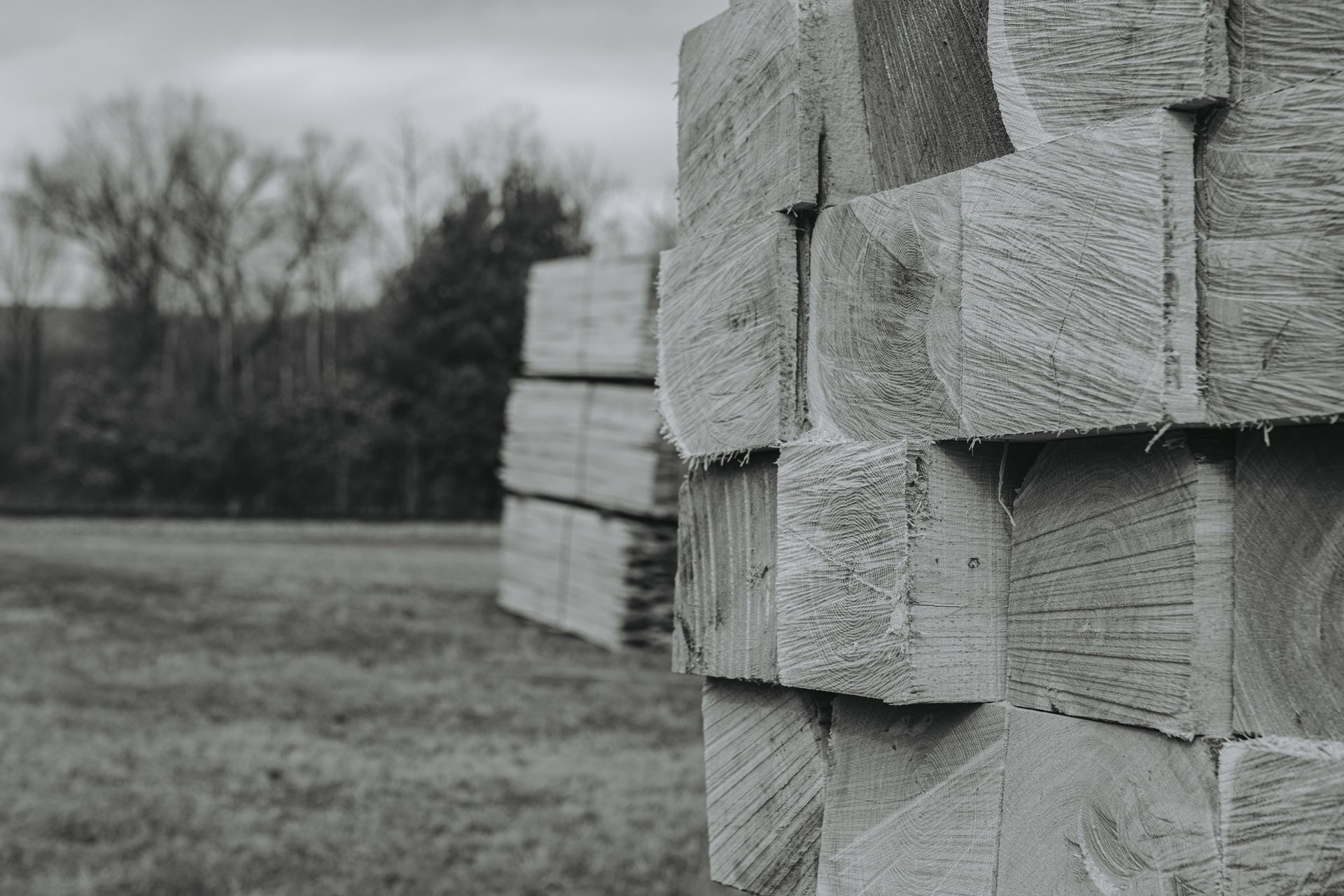 Forest Restoration Timber
