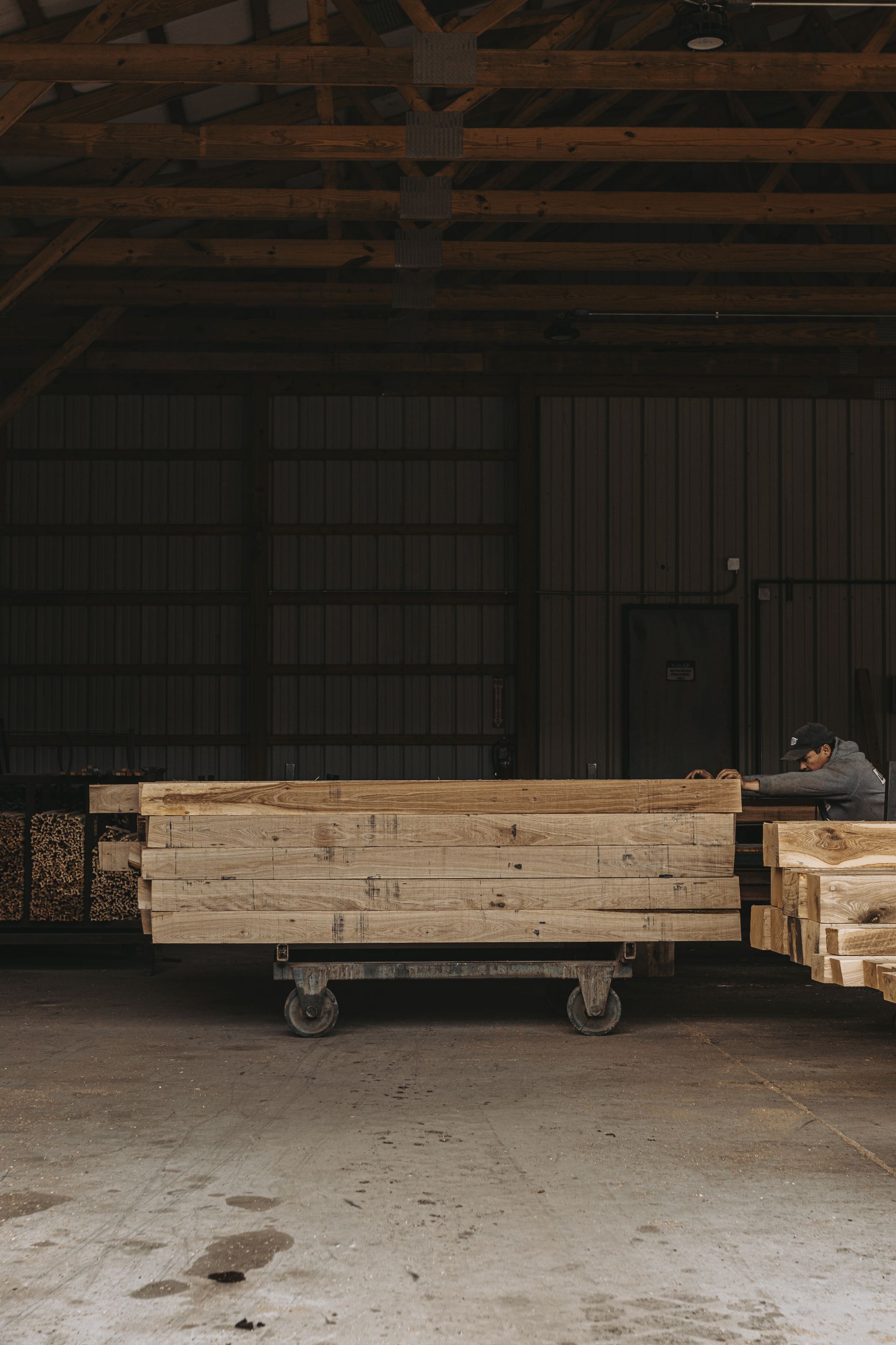 Eco-Friendly Logging Practices