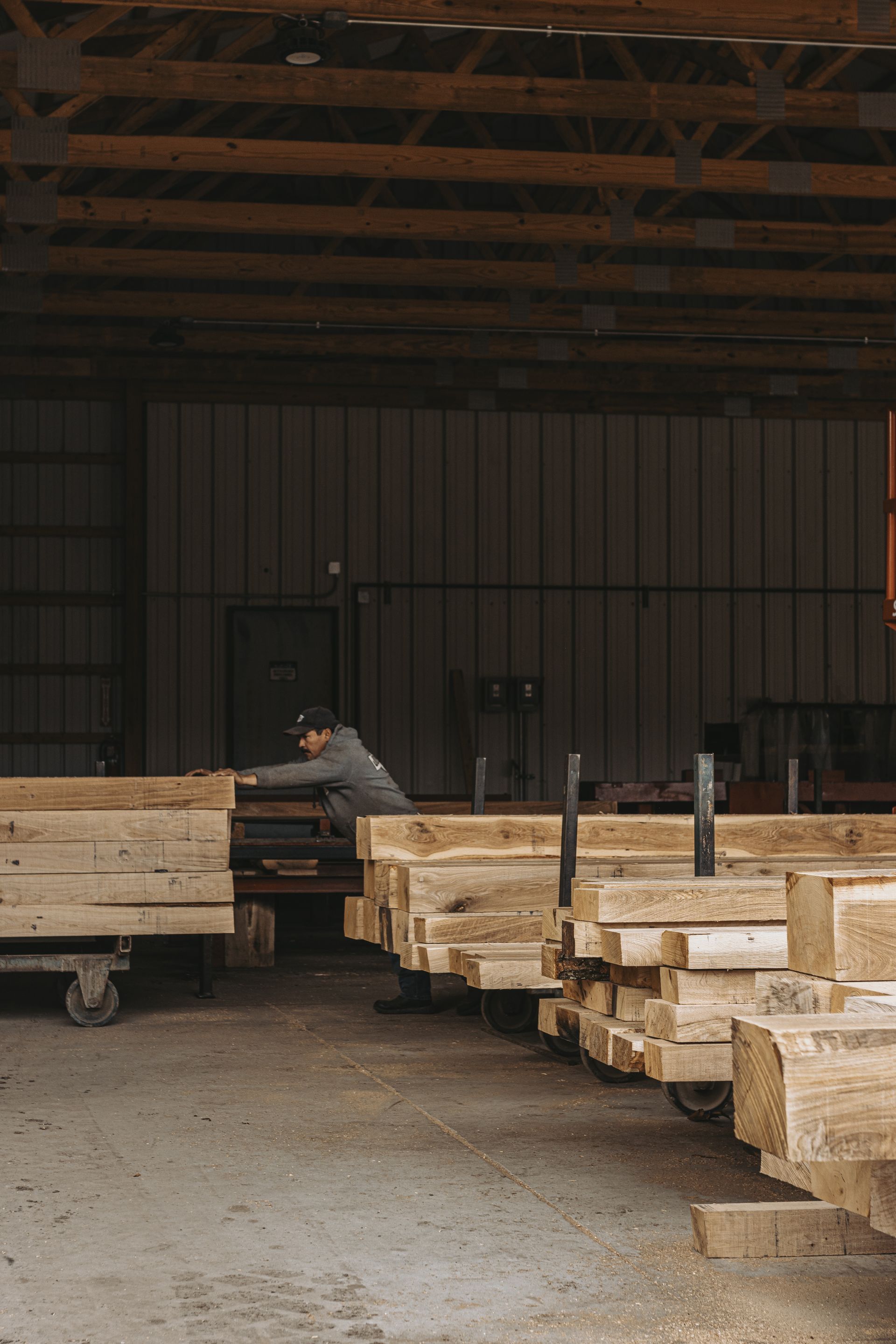 Sustainable Woodland Management