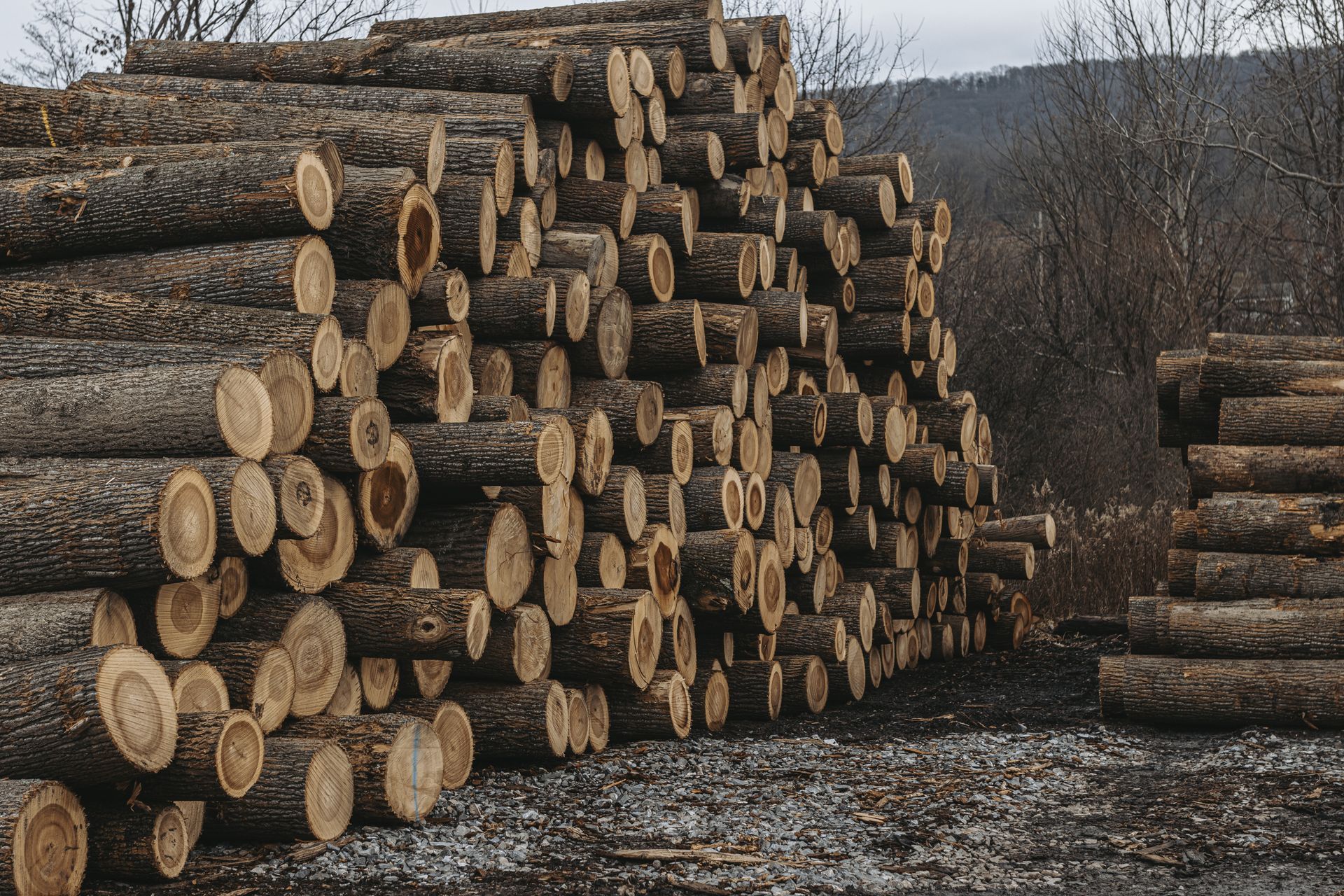 Forest Management Solutions