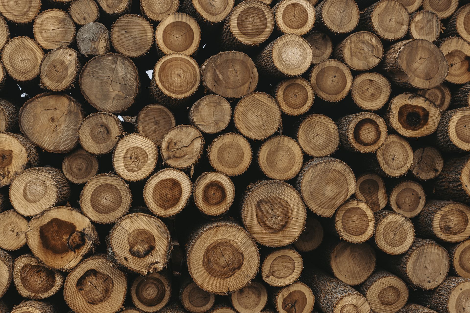 Eco-Friendly Timber Harvesting State College