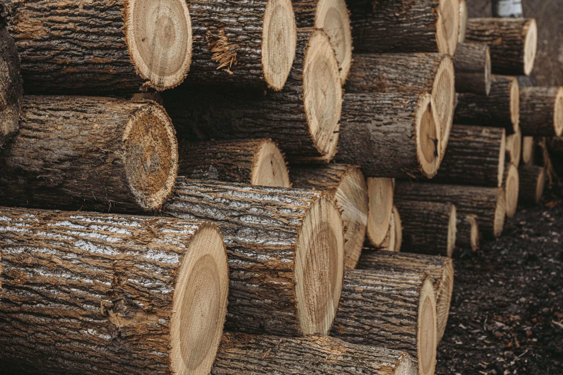 Forest Management Solutions near me 