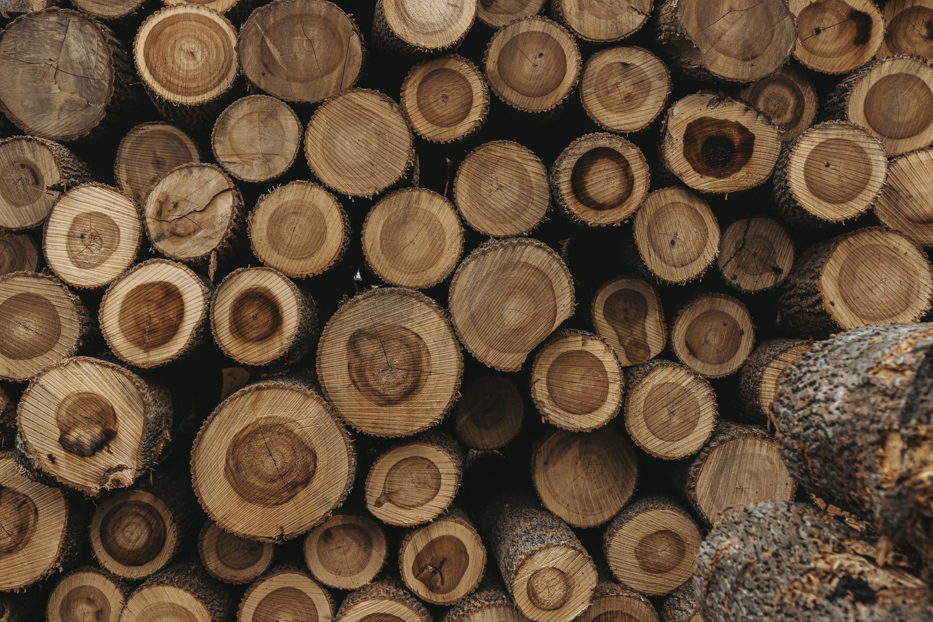 Central PA's Lumber Experts