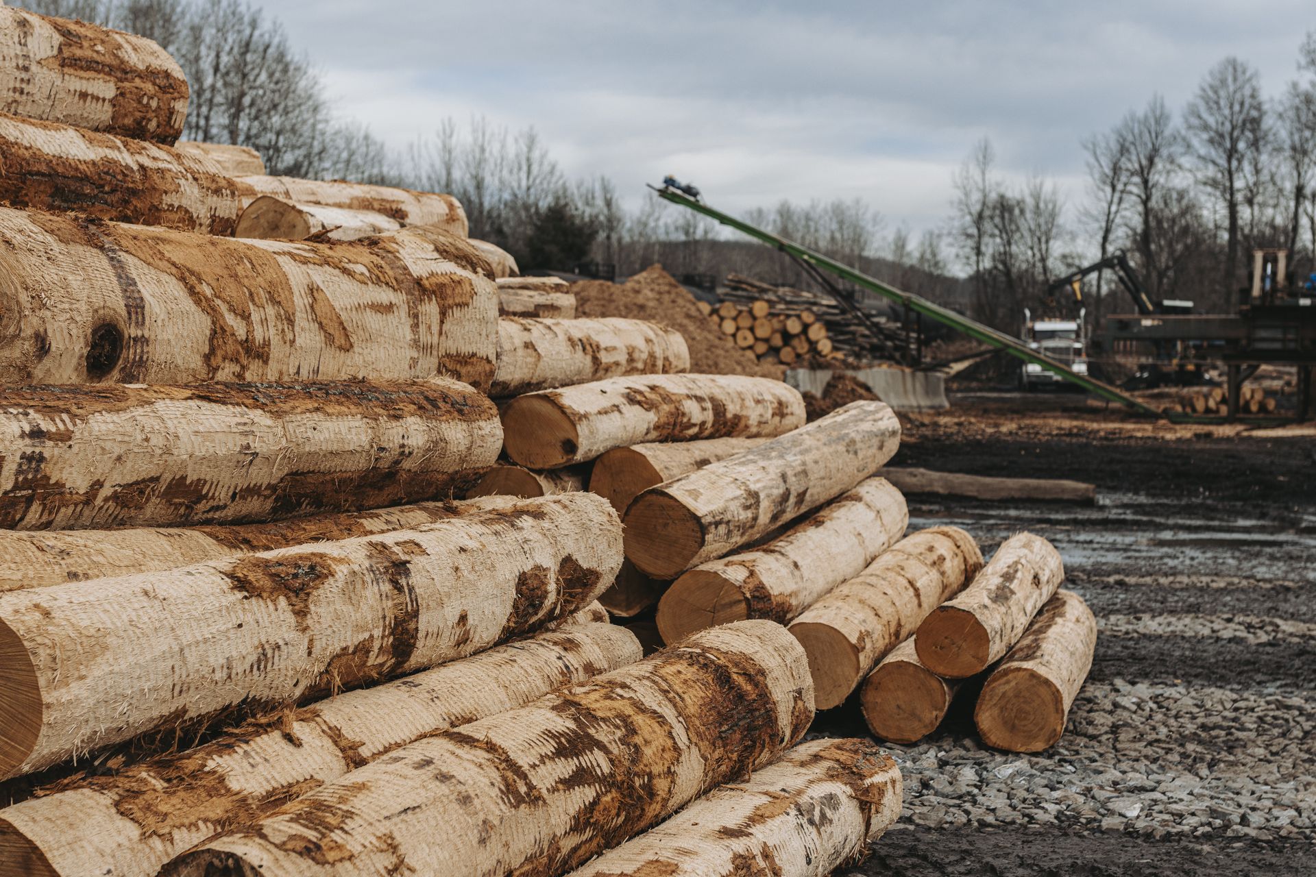 Premium Oak Cribbing Blocks