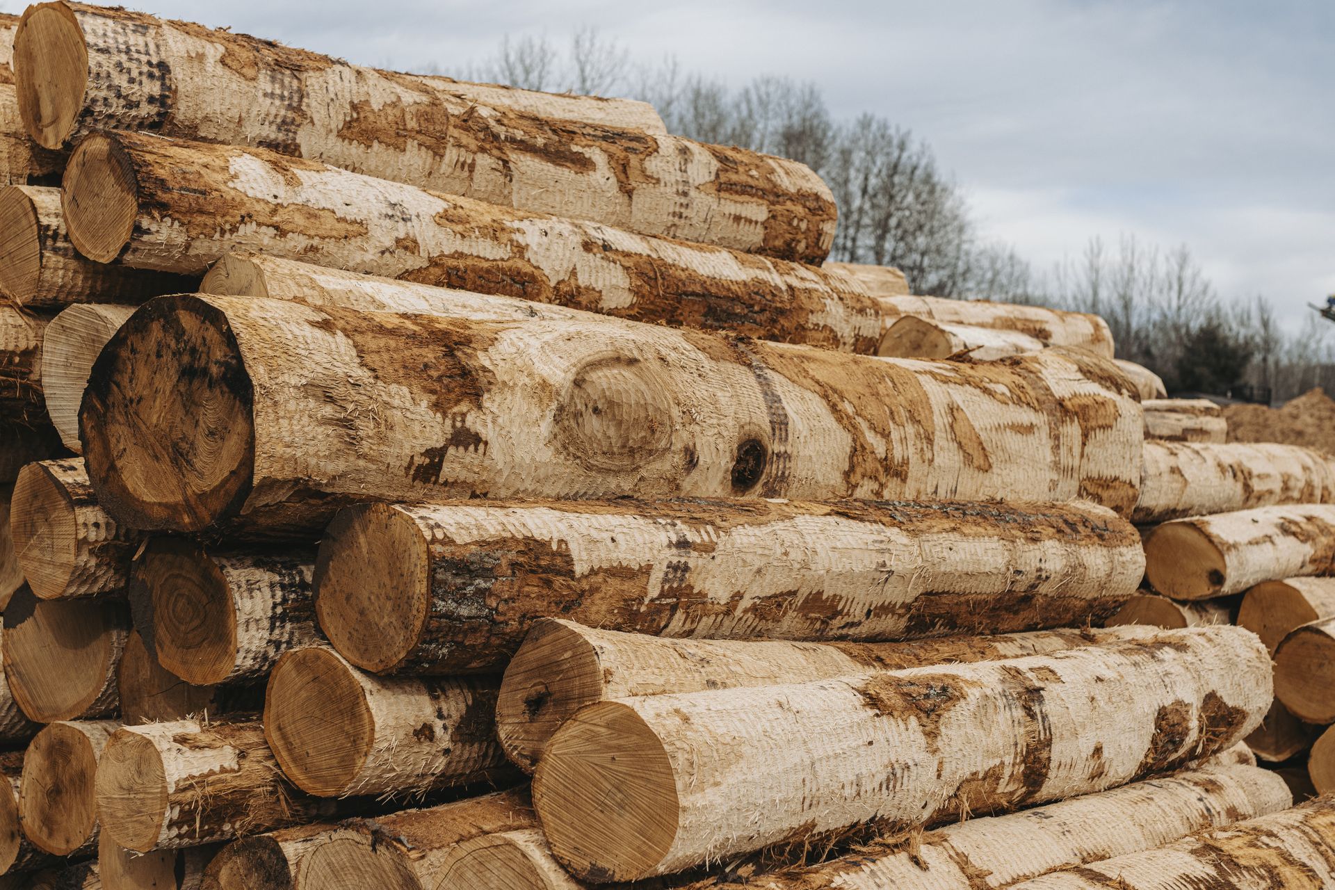 a pile of logs are stacked on top of each other in a field .