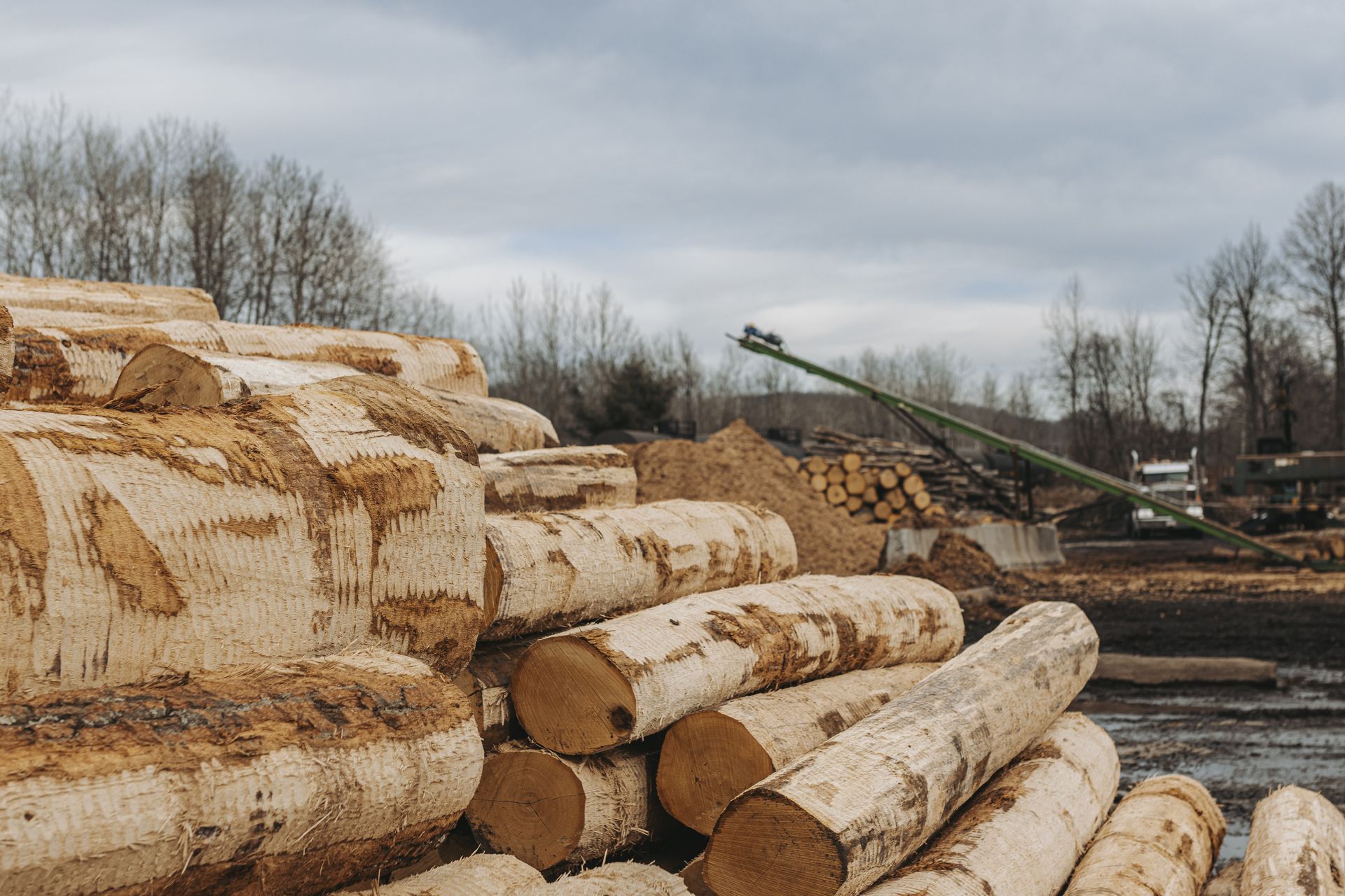 Custom Cut Lumber Tyrone