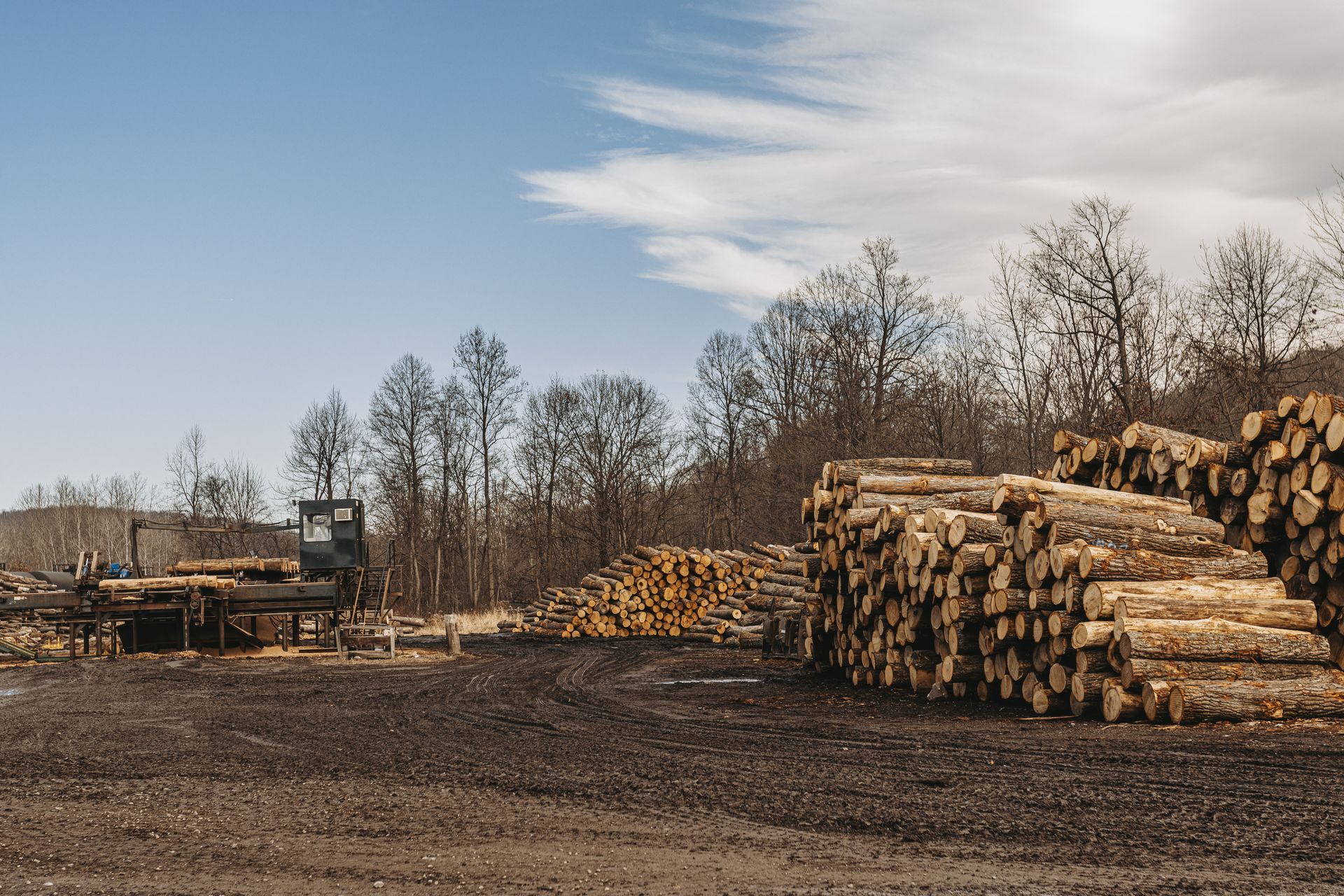 Tyrone's Best Lumber Company