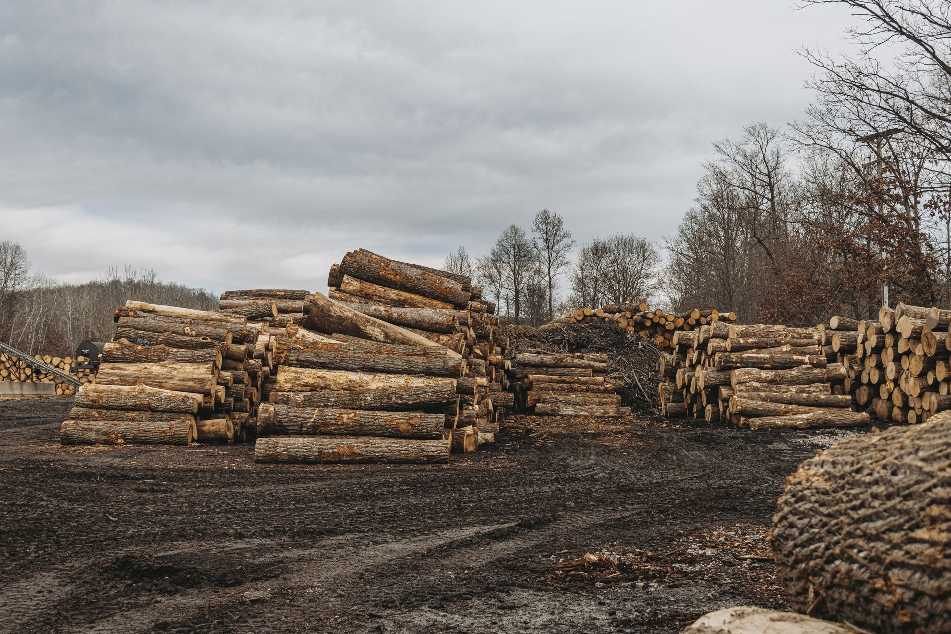 wildlife preservation logging 