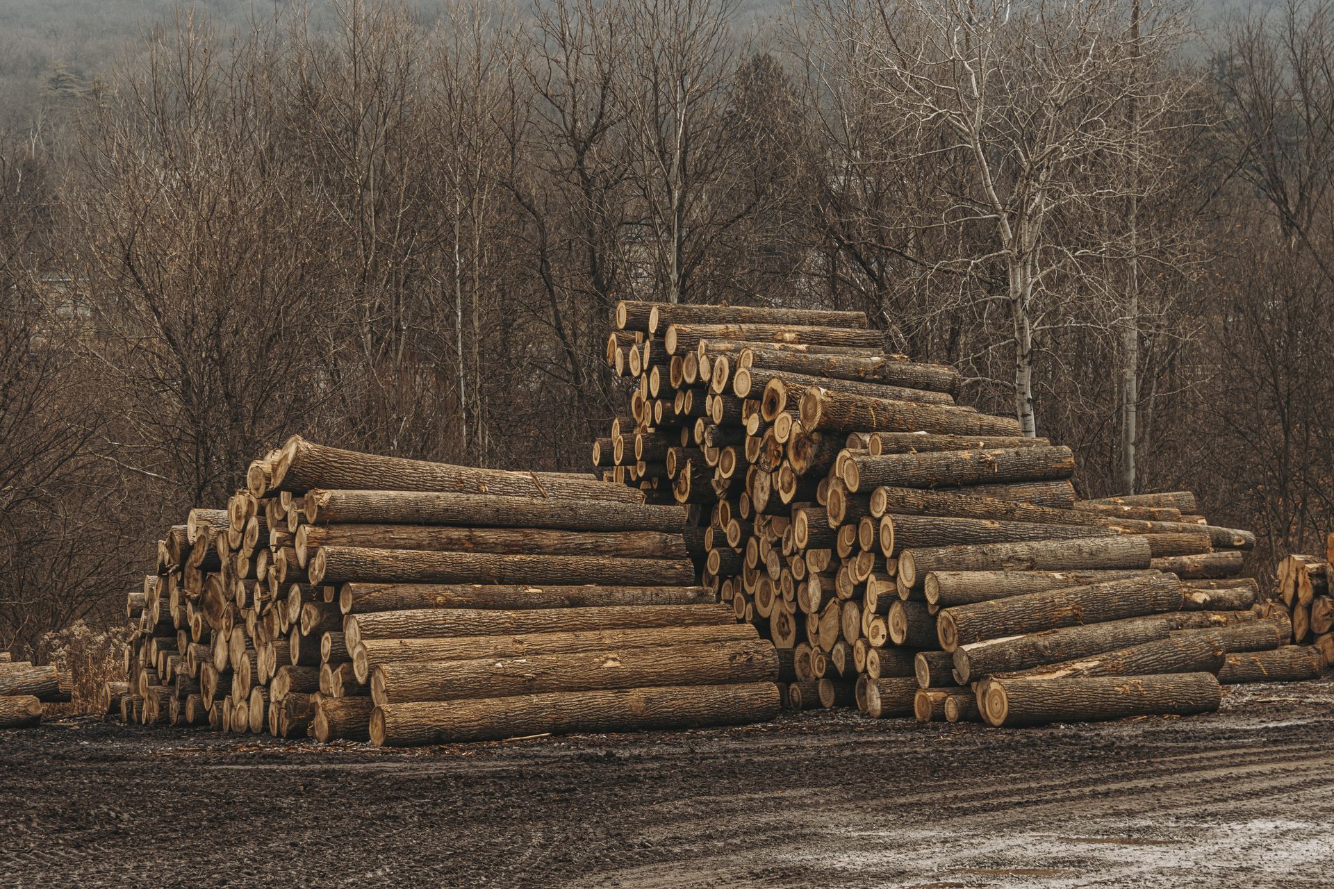 hunting improvement near me 