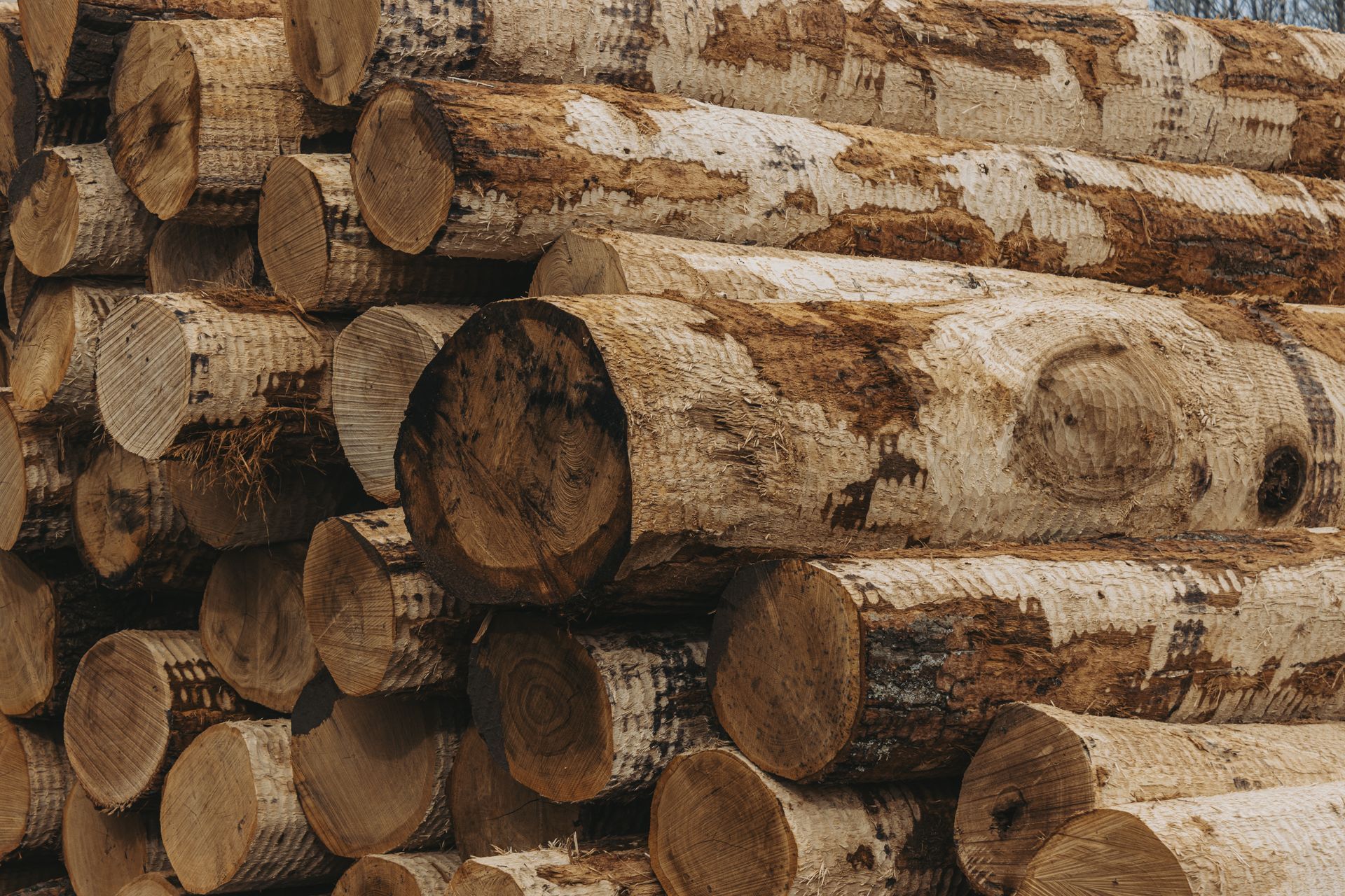 best loggers for hunters