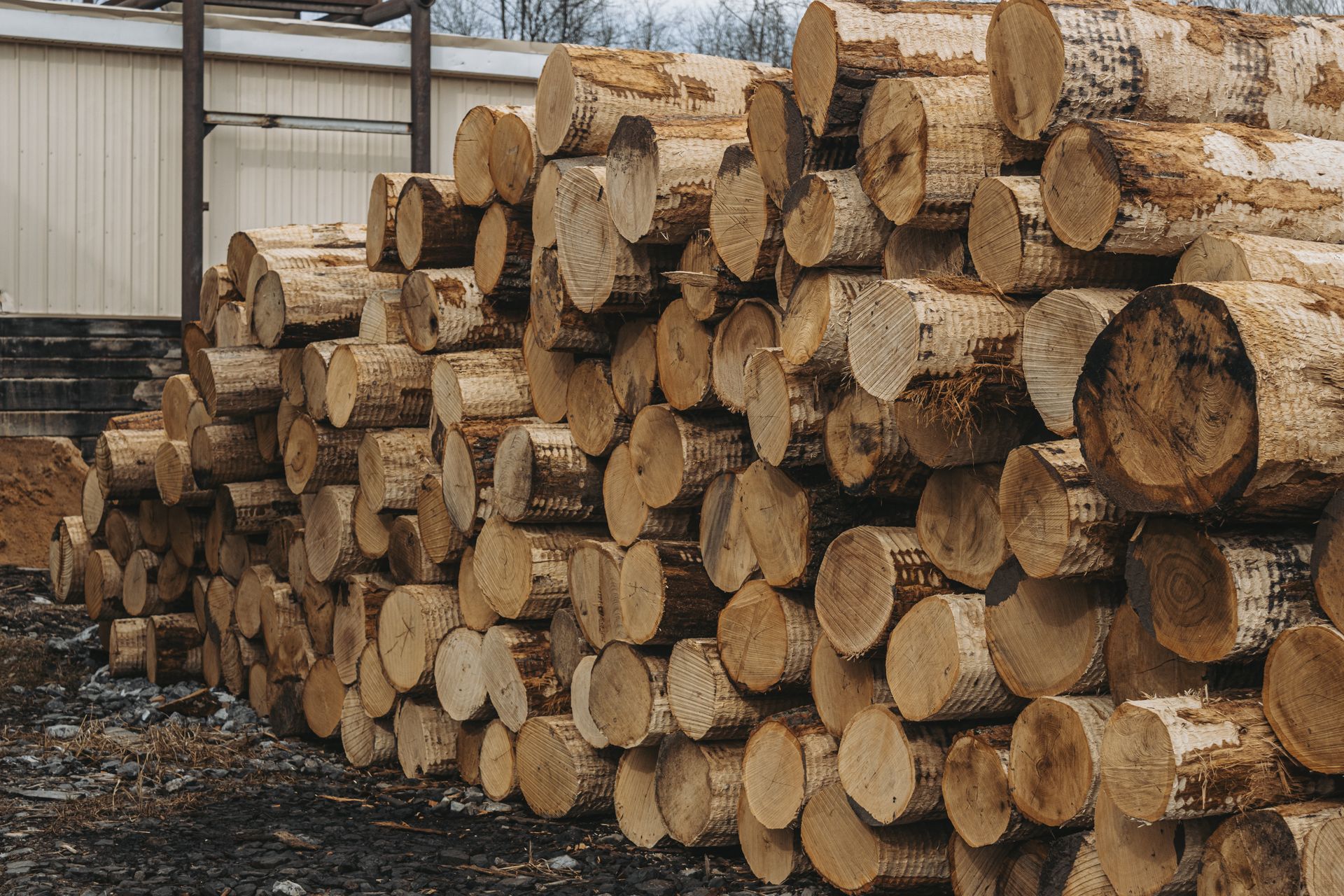 biologist led logging central pa
