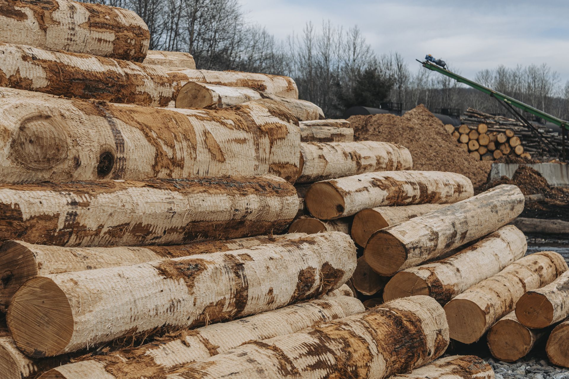 Expert logger near me 