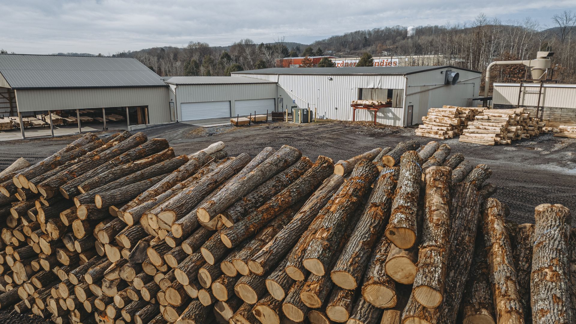 Best logging company in Port Matilda