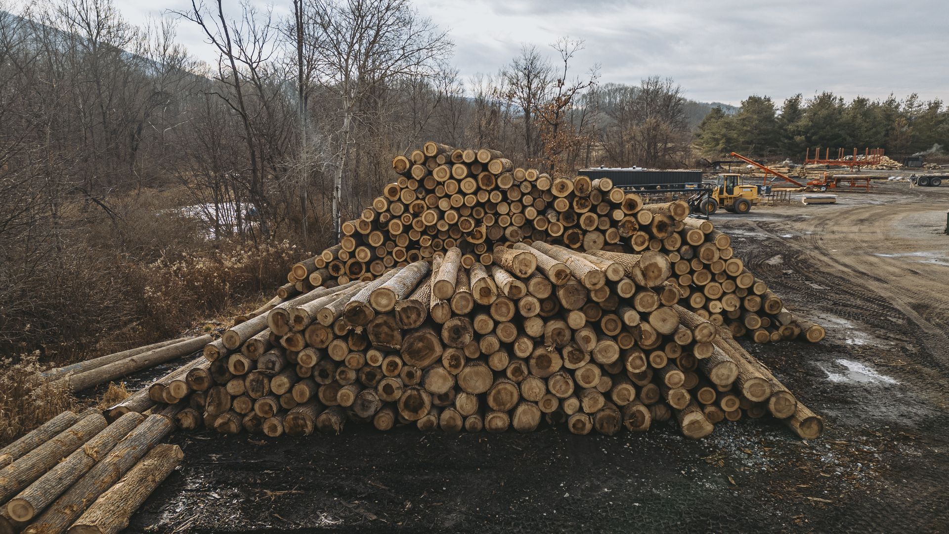 State College Logger