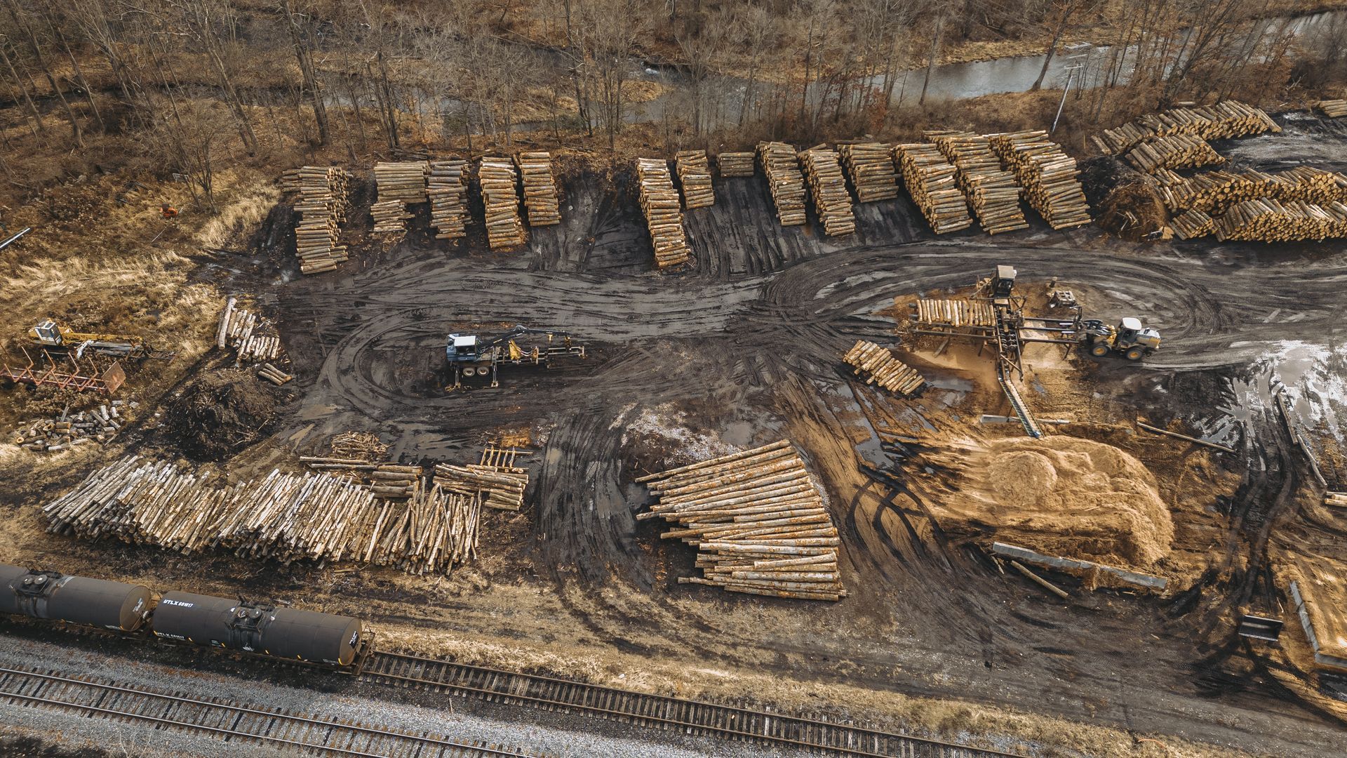 logger and forester in Tyrone