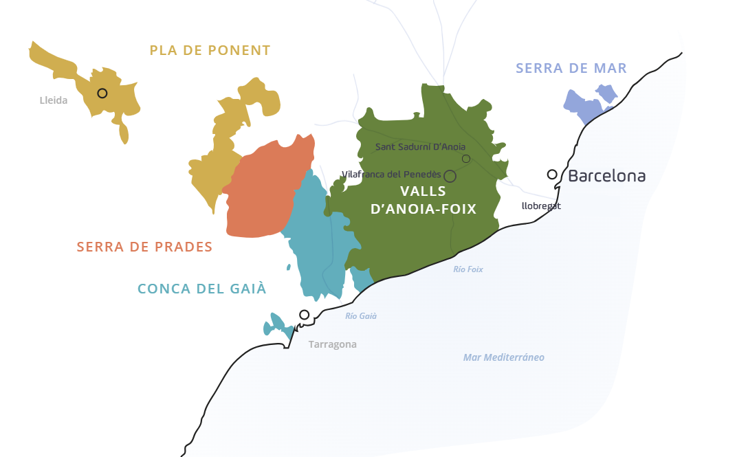 Comtats de Barcelona _ Cava Wine