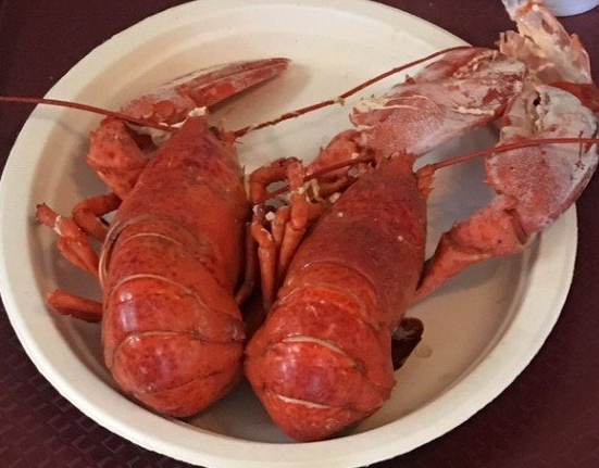 Seafood Catering — Variety of Seafood on Plate in Methuen, MA