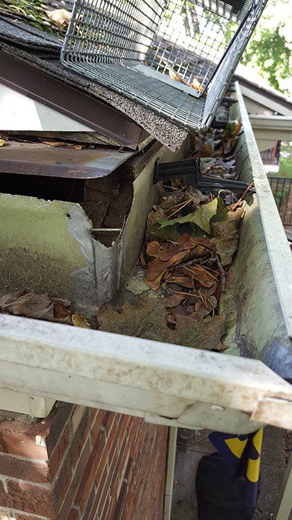 Squirrel damage to gutters Squirrel damage to gutters