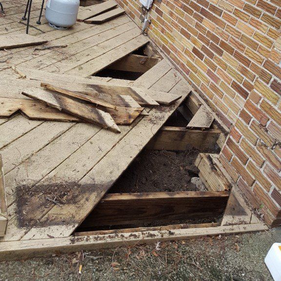 DOA skunk removal from under deck