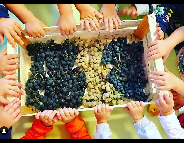 ASILO NIDO LA FABBRICA DELLE COCCOLE-Monselice-012