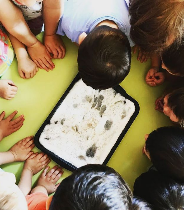 ASILO NIDO LA FABBRICA DELLE COCCOLE-Monselice-010