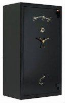 bf7240 — One of our gun safes in Mesa, AZ