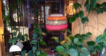 A room with a lot of plants and a lantern hanging from the ceiling.