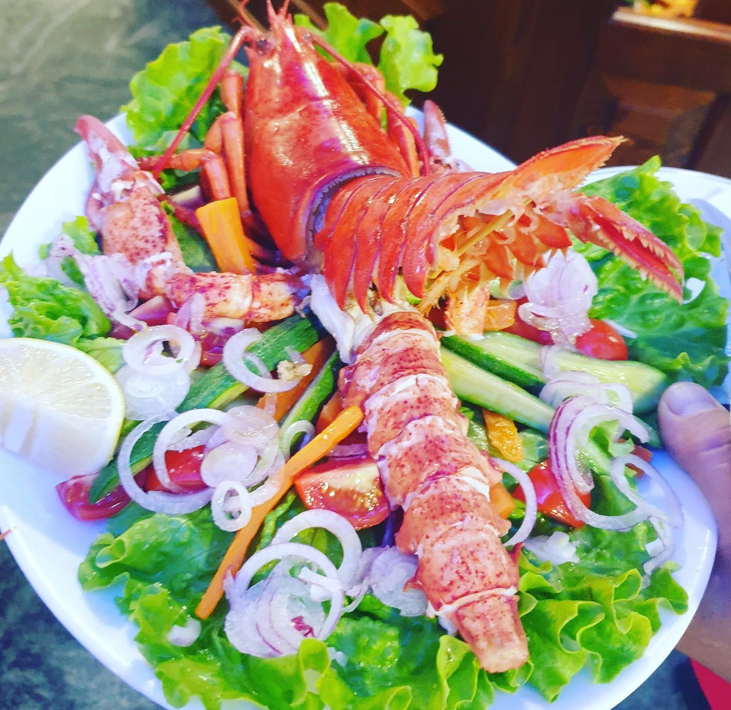 ristorante pizzeria Totò & Macario Sant'Ambrogio Torino