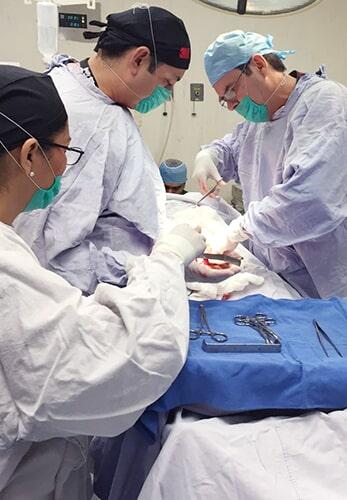 DR. SERGIO U. ACOLTZI ESCORCIA