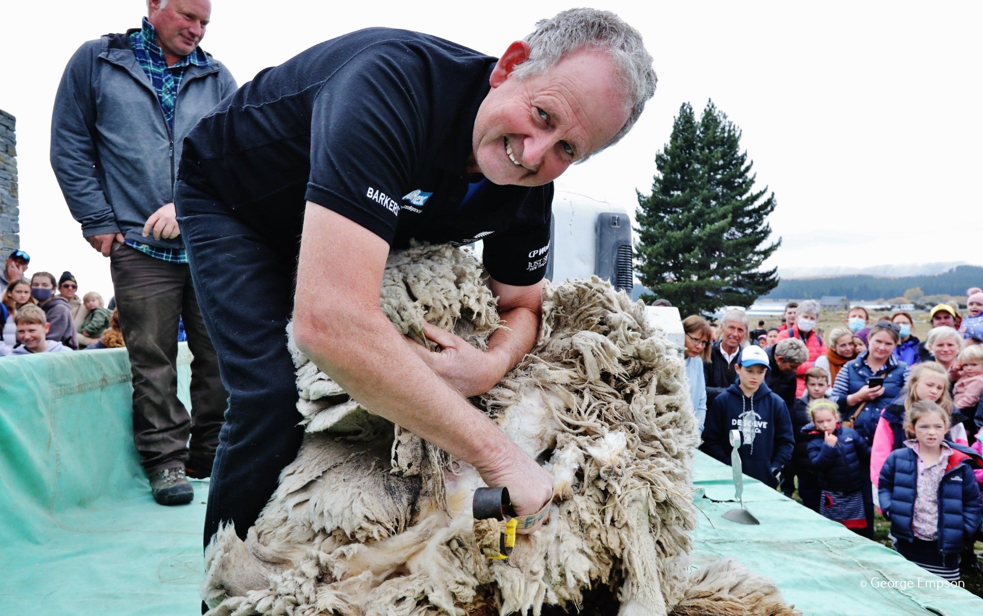 A man is shearing a sheep in front of a crowd.