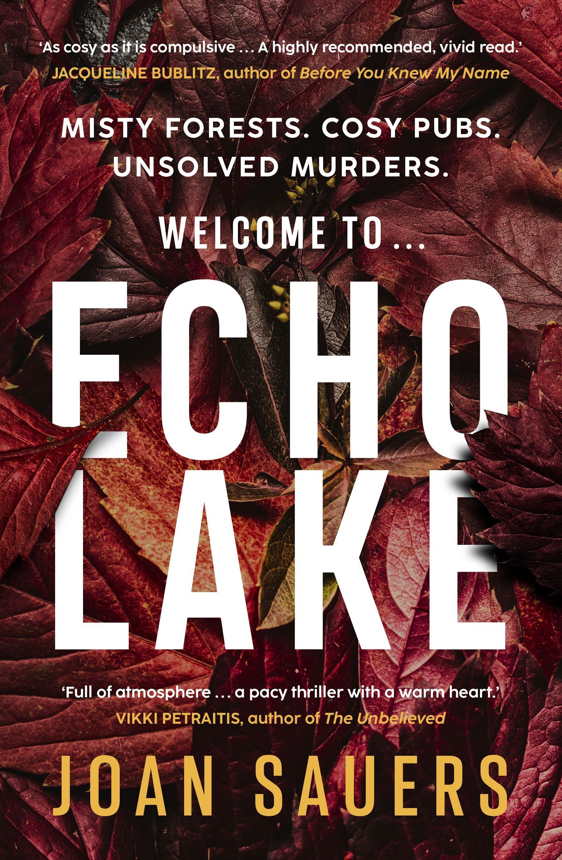 Echo lake by joan sauers is a book about misty forests , cosy pubs , and unsolved murders.