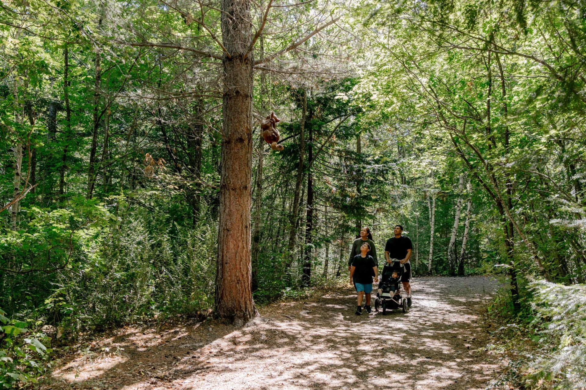 A family is walking down a path in the woods with a stroller.