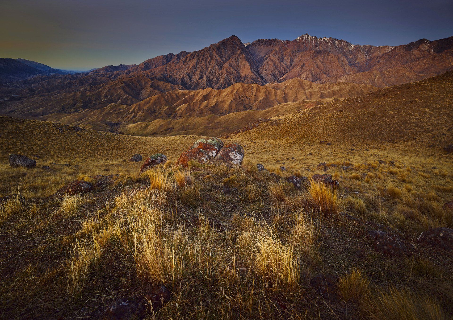 A desert landscape with mountains in the background and a few plants in the foreground.