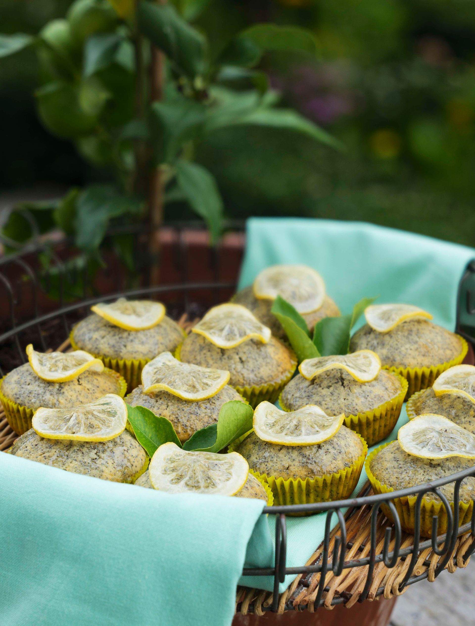 A basket of muffins with lemon slices on top