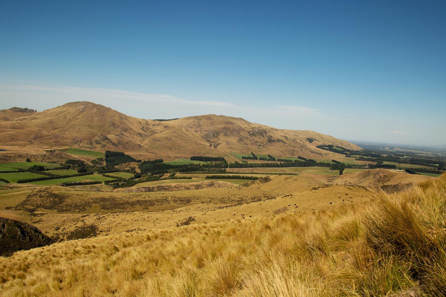 There is a mountain in the background and a field in the foreground.