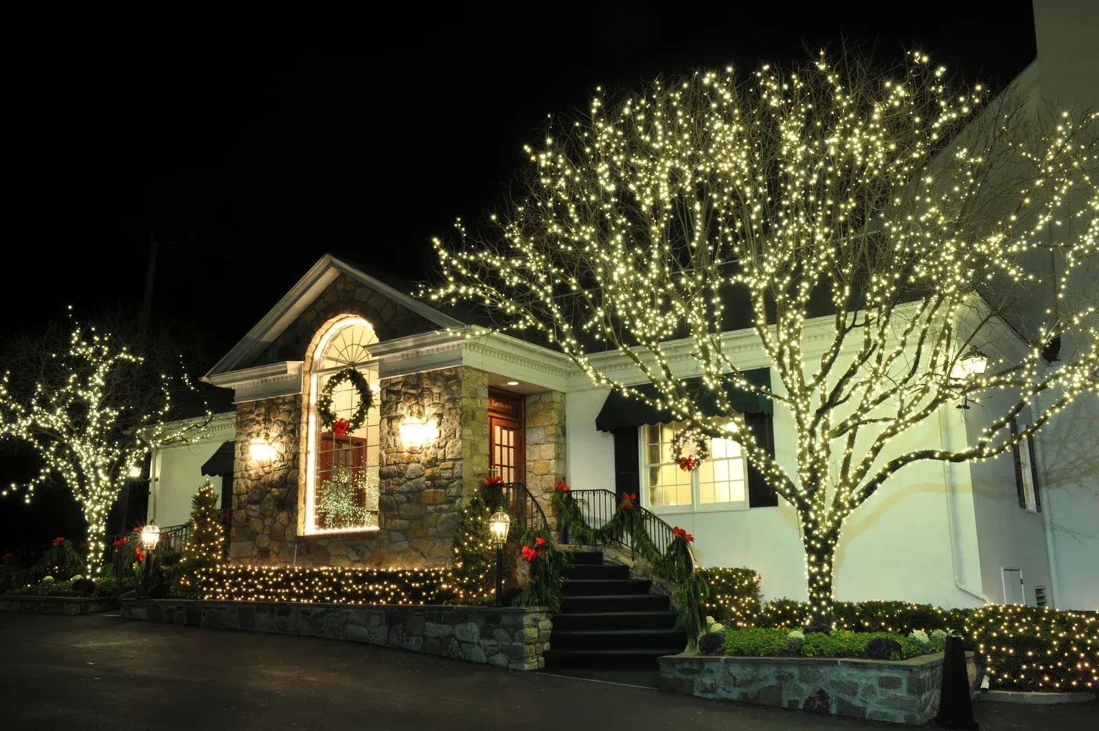 Building decorated with Christmas lights at night.