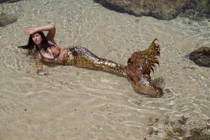 A mermaid is laying on the beach in the water.
