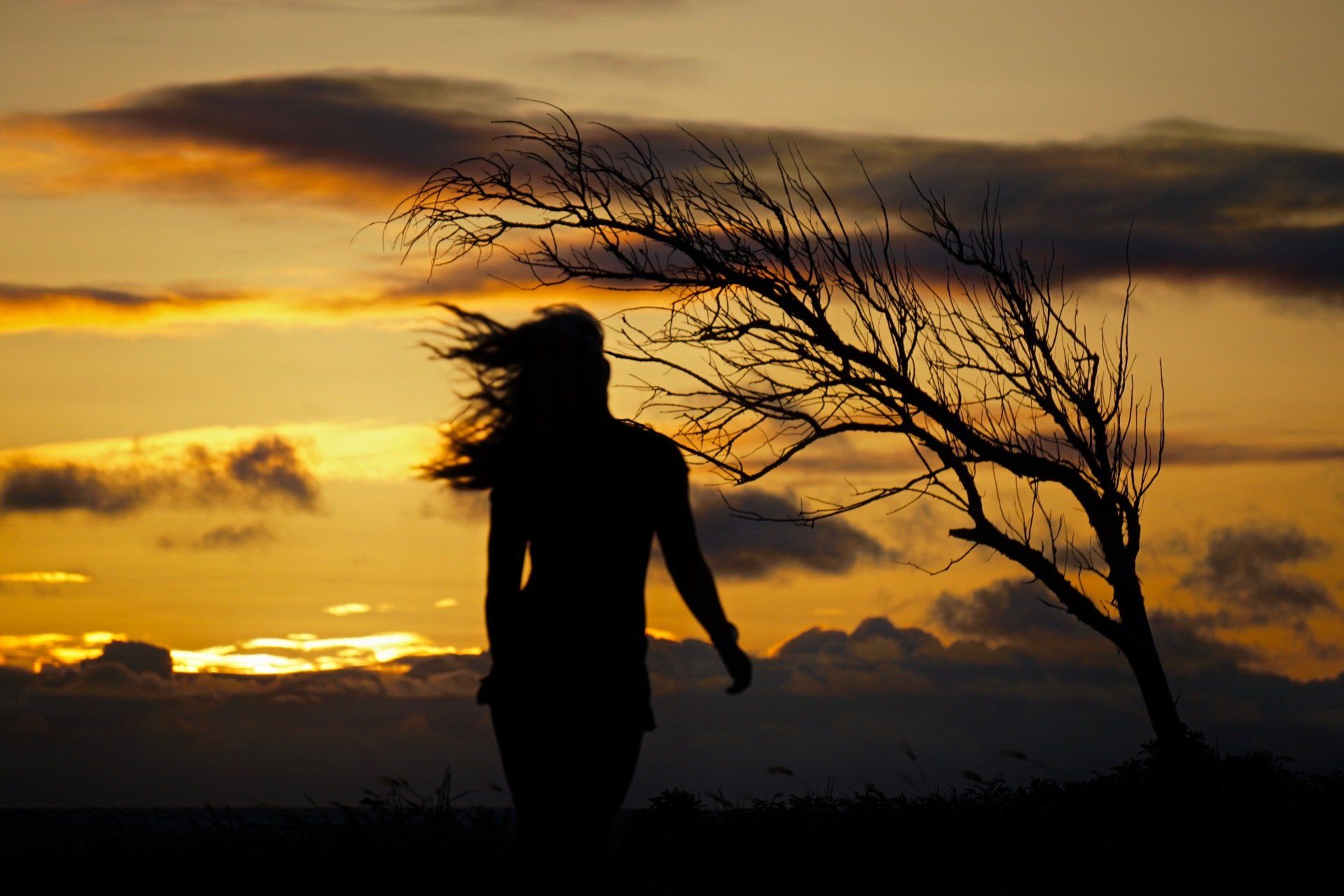 A silhouette of a woman standing next to a tree at sunset