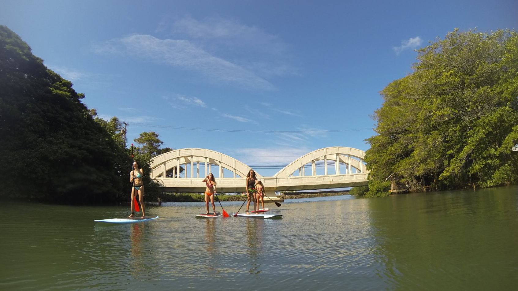A group of people are paddle boarding on a river under a bridge.