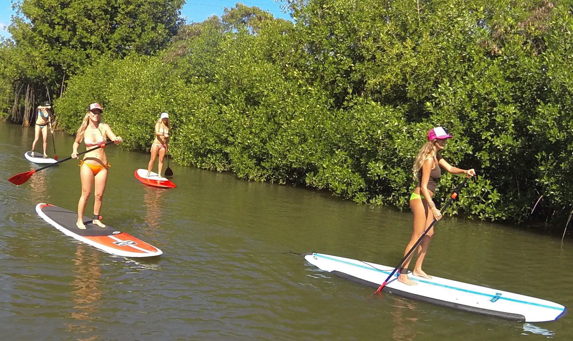 learn to Stand up Paddle