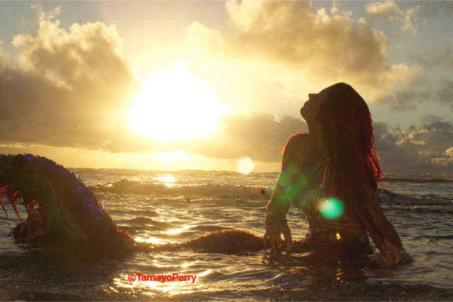 A mermaid is swimming in the ocean at sunset.