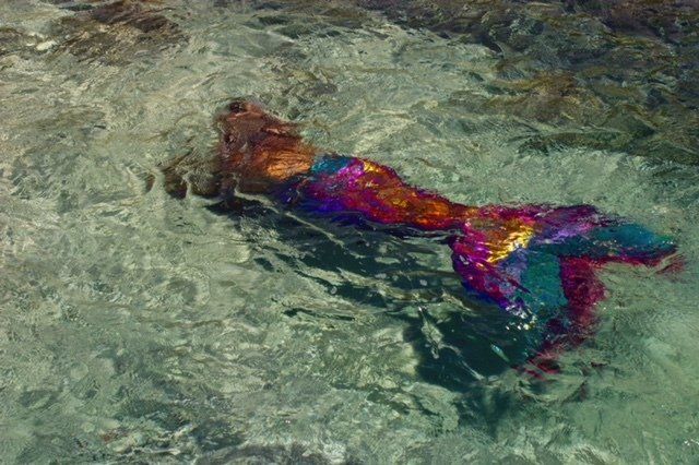 A little girl in a mermaid costume is swimming in the ocean.
