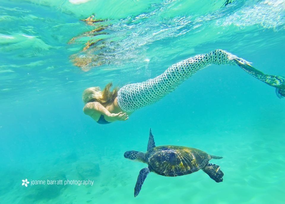 A mermaid is swimming next to a sea turtle in the ocean.