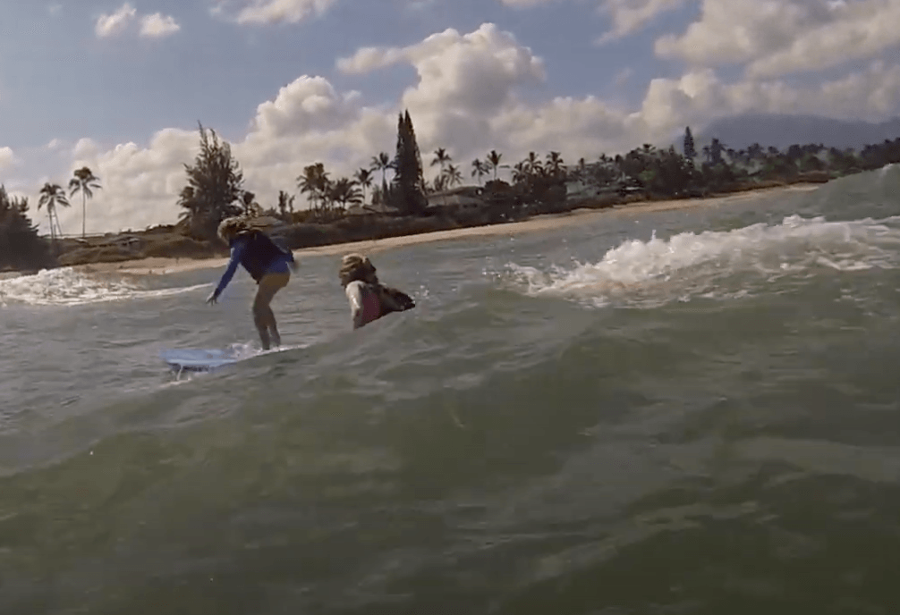 best surf lessons