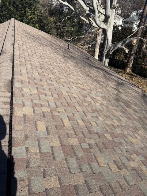 Close-up view of a brown shingled roof on a sunny day. Trees are visible in the background.